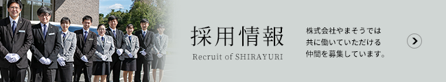 採用情報